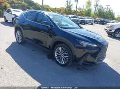 2T2GKCEZ6PC011209 2023 LEXUS NX