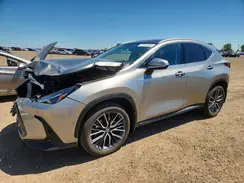 2T2GKCEZ6RC017658 2024 LEXUS NX