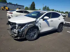 2T2GKCEZ6RC019930 2024 LEXUS NX