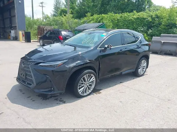 2T2GKCEZ6RC021757 2024 LEXUS NX - Image 2