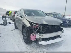 2T2GKCEZ6RC022147 2024 LEXUS NX
