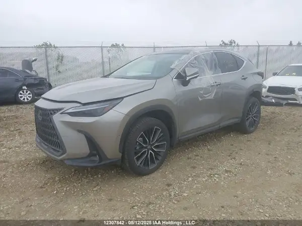 2T2GKCEZ6RC024173 2024 LEXUS NX - Image 2