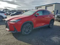 2T2GKCEZ6RC025677 2024 LEXUS NX