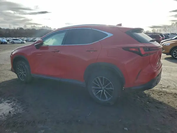 2T2GKCEZ6RC025677 2024 LEXUS NX - Image 2