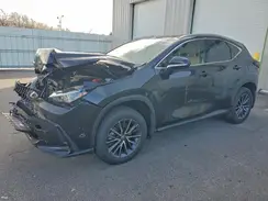 2T2GKCEZ6RC028157 2024 LEXUS NX