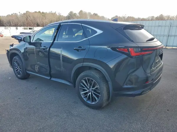 2T2GKCEZ6RC028157 2024 LEXUS NX - Image 2