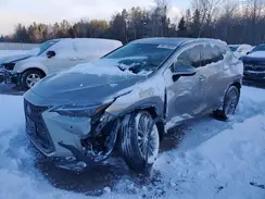 2T2GKCEZ6RC030202 2024 LEXUS NX