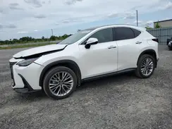 2T2GKCEZ6RC030250 2024 LEXUS NX
