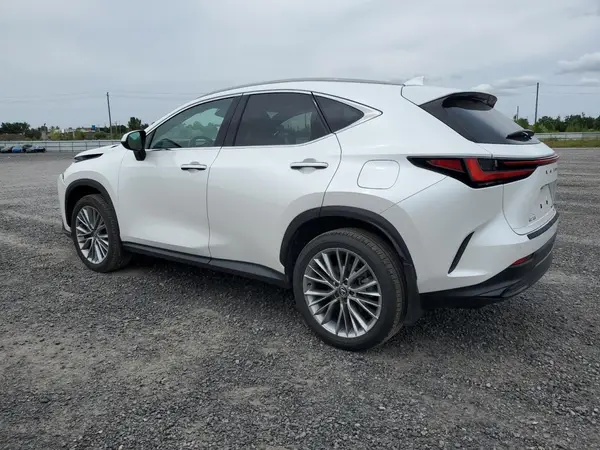 2T2GKCEZ6RC030250 2024 LEXUS NX - Image 2