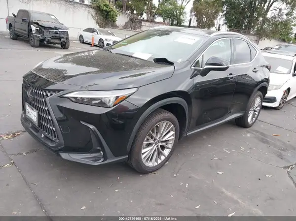 2T2GKCEZ6SC031663 2025 LEXUS NX - Image 2