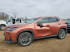 2T2GKCEZ6SC039858 2025 LEXUS NX