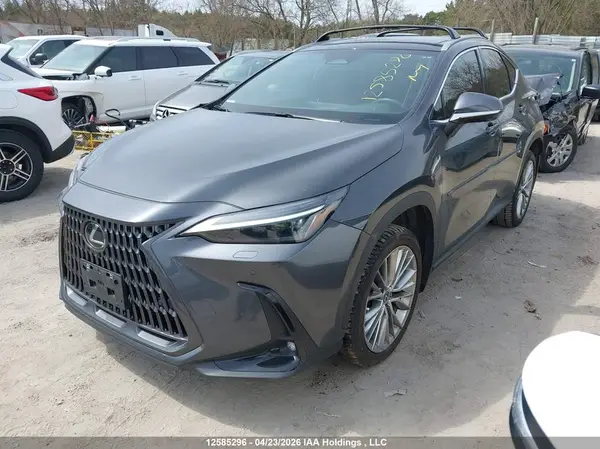 2T2GKCEZ6SC043134 2025 LEXUS NX - Image 2