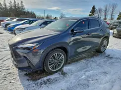 2T2GKCEZ6SC049810 2025 LEXUS NX