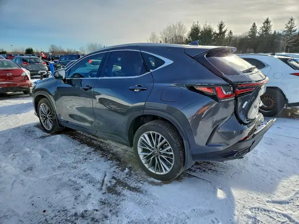 2T2GKCEZ6SC049810 2025 LEXUS NX - Image 2