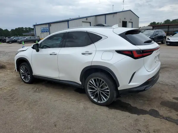 2T2GKCEZ7NC003648 2022 LEXUS NX - Image 2