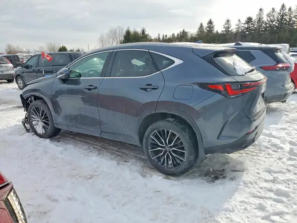 2T2GKCEZ7NC003830 2022 LEXUS NX - Image 2