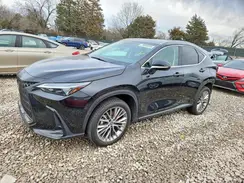 2T2GKCEZ7NC008798 2022 LEXUS NX
