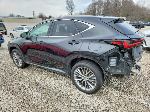 2T2GKCEZ7NC008798 2022 LEXUS NX - Image 2