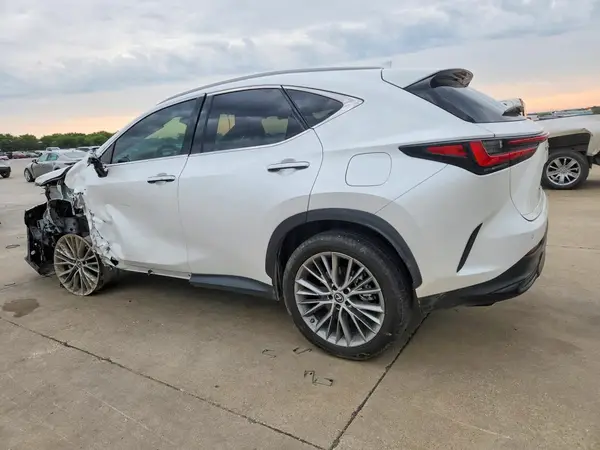 2T2GKCEZ7PC010652 2023 LEXUS NX - Image 2