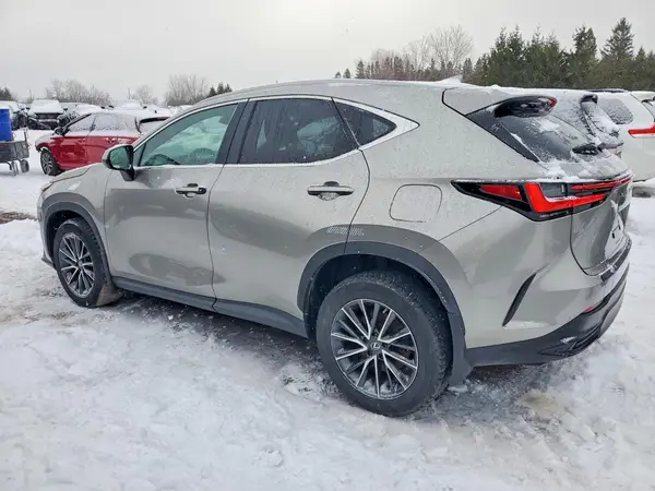 2T2GKCEZ7PC011283 2023 LEXUS NX - Image 2