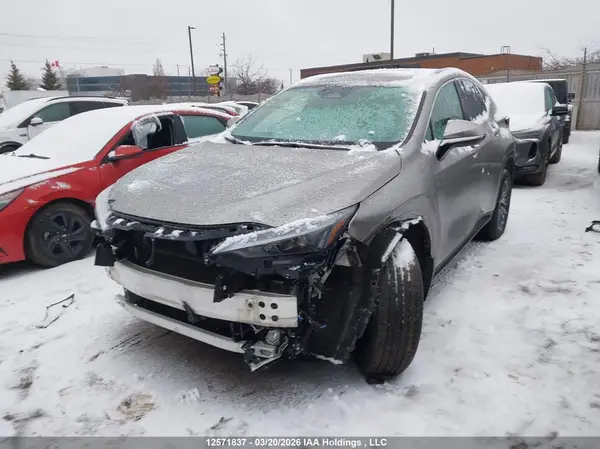 2T2GKCEZ7PC015298 2023 LEXUS NX - Image 2