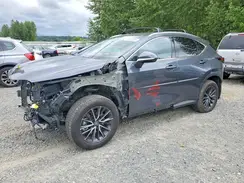 2T2GKCEZ7RC020133 2024 LEXUS NX