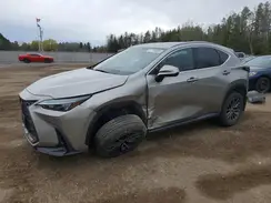 2T2GKCEZ7RC027695 2024 LEXUS NX