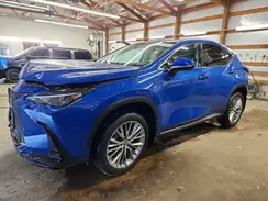 2T2GKCEZ7SC036015 2025 LEXUS NX