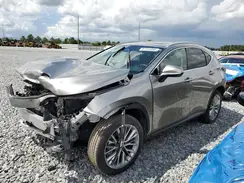 2T2GKCEZ7SC038637 2025 LEXUS NX