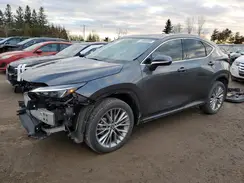 2T2GKCEZ7SC046690 2025 LEXUS NX
