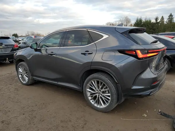2T2GKCEZ7SC046690 2025 LEXUS NX - Image 2