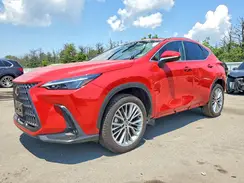 2T2GKCEZ7SC047953 2025 LEXUS NX