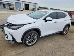 2T2GKCEZ7TC058646 2026 LEXUS NX