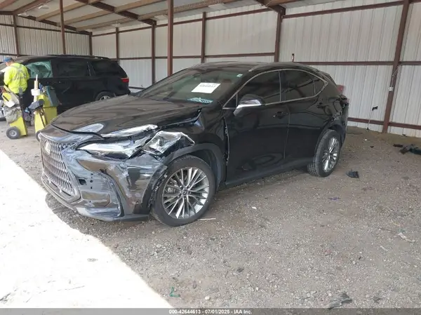 2T2GKCEZ8PC010711 2023 LEXUS NX - Image 2