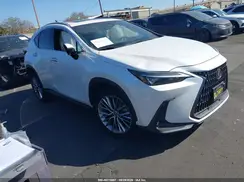2T2GKCEZ8PC015083 2023 LEXUS NX