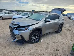 2T2GKCEZ8RC031559 2024 LEXUS NX