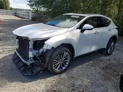 2T2GKCEZ9PC010278 2023 LEXUS NX