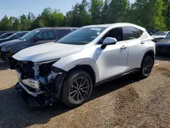 2T2GKCEZ9PC014041 2023 LEXUS NX
