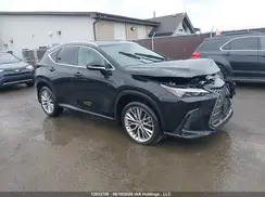 2T2GKCEZ9RC016505 2024 LEXUS NX