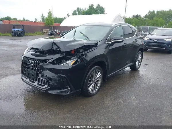 2T2GKCEZ9RC016505 2024 LEXUS NX - Image 2