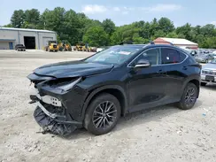 2T2GKCEZ9RC024314 2024 LEXUS NX