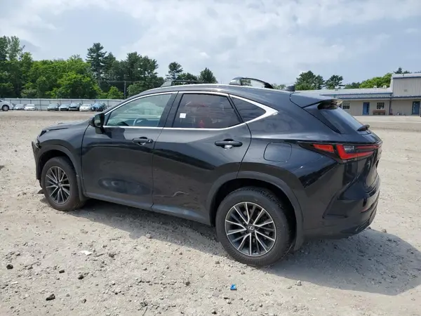 2T2GKCEZ9RC024314 2024 LEXUS NX - Image 2