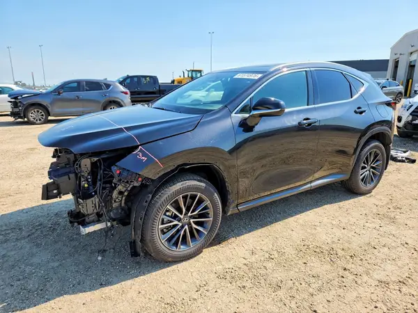 2T2GKCEZ9SC033942 2025 LEXUS NX - Image 1