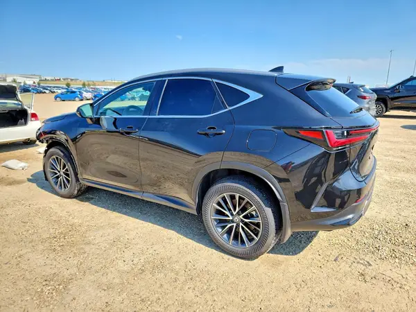 2T2GKCEZ9SC033942 2025 LEXUS NX - Image 2
