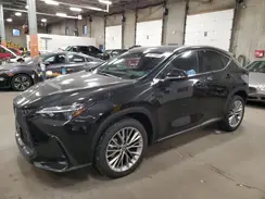 2T2GKCEZ9SC054533 2025 LEXUS NX