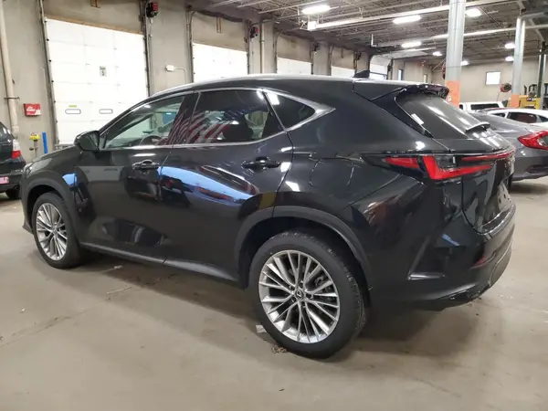 2T2GKCEZ9SC054533 2025 LEXUS NX - Image 2
