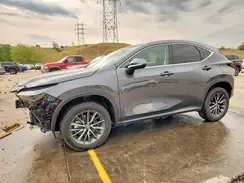 2T2GKCEZXNC004597 2022 LEXUS NX