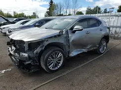 2T2GKCEZXNC009248 2022 LEXUS NX