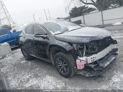 2T2GKCEZXPC011195 2023 LEXUS NX