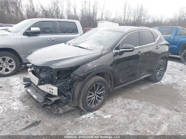 2T2GKCEZXPC011195 2023 LEXUS NX - Image 2